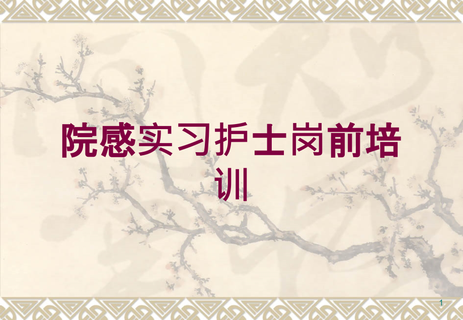 院感实习护士岗前培训培训ppt课件_第1页