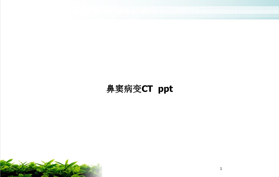 鼻窦病变CT--精讲ppt课件_第1页