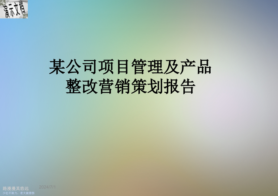 某公司项目管理及产品整改营销策划报告课件_第1页