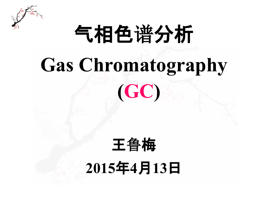 气相色谱解析课件_第1页