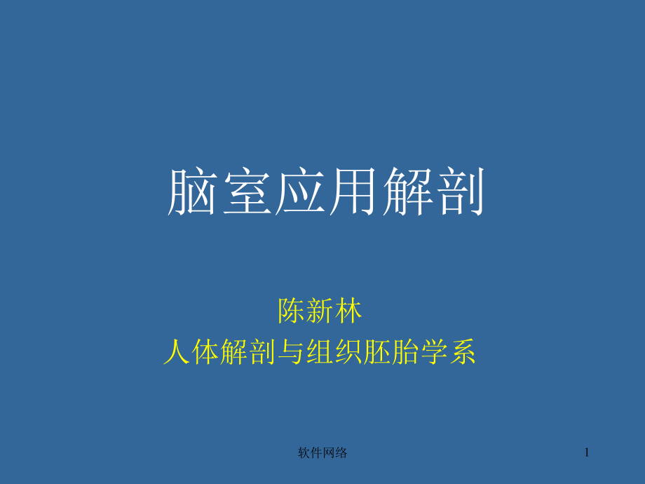 脑室断层解剖医疗医学课件_第1页