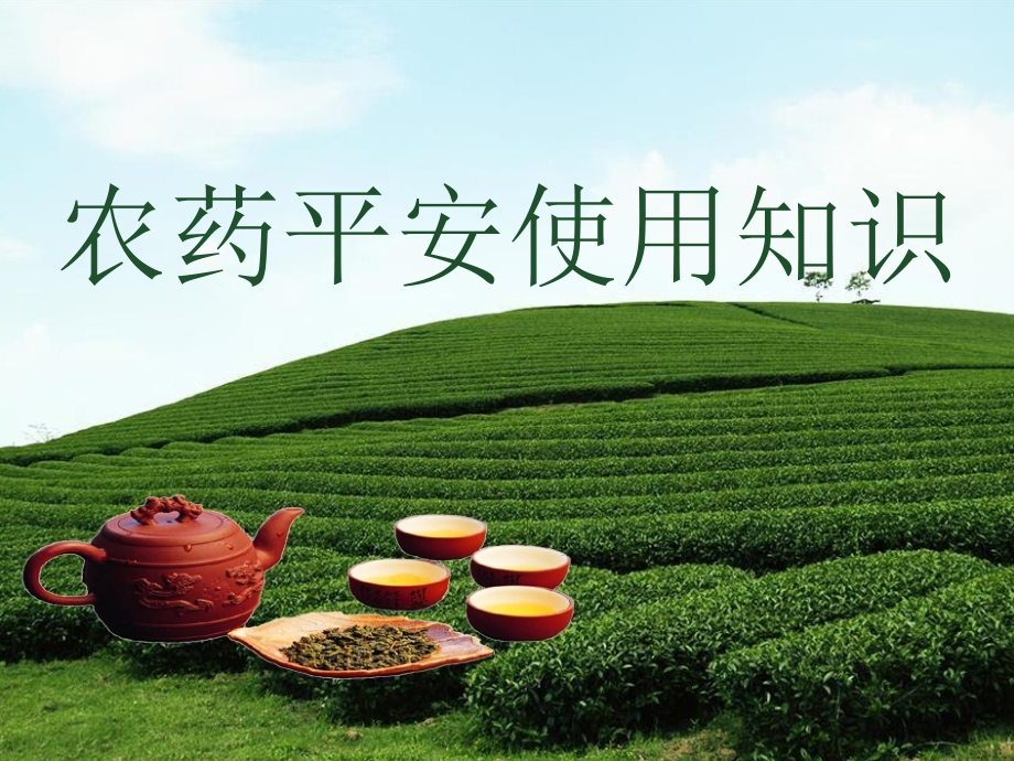 茶叶农药安全使用知识_第1页