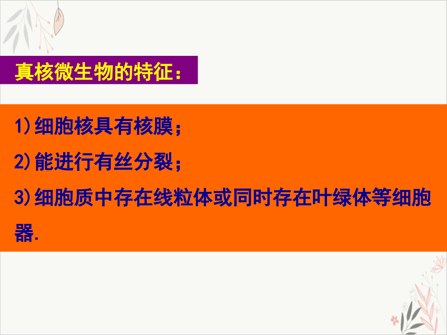 真核微生物的形态与构造课件-_第1页