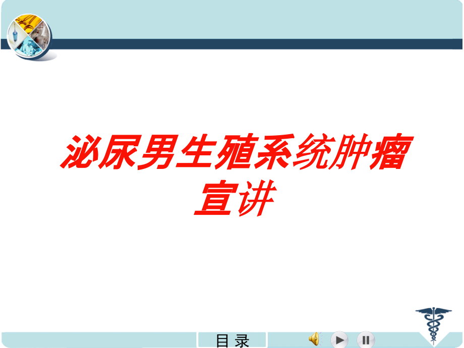 泌尿男生殖系统肿瘤宣讲培训课件_第1页