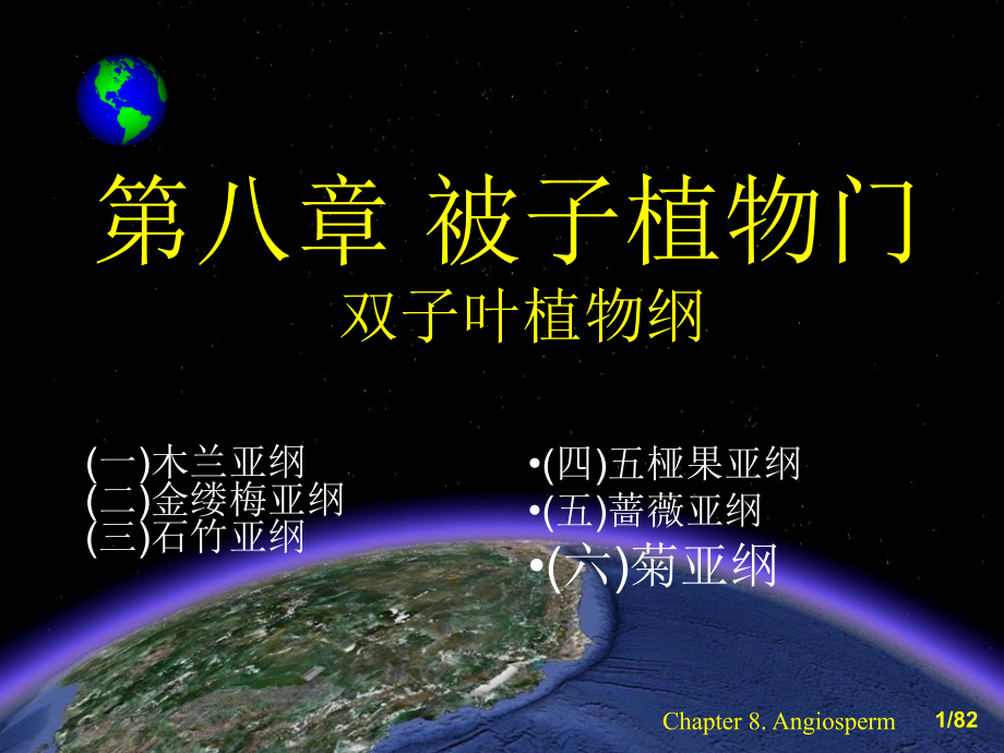 植物学第八章被子植物菊亚纲资料课件_第1页