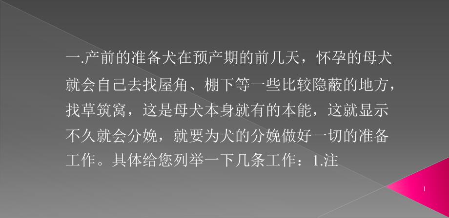 边境牧羊犬的分娩和新生犬的护理课件_第1页