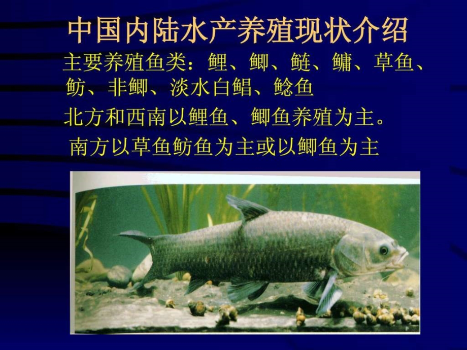淡水鱼类营养及饲料课件_002_第1页