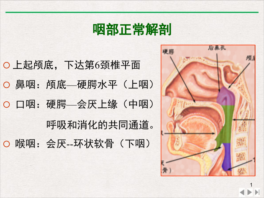 颈部疾病CT诊断ppt课件完整版_第1页