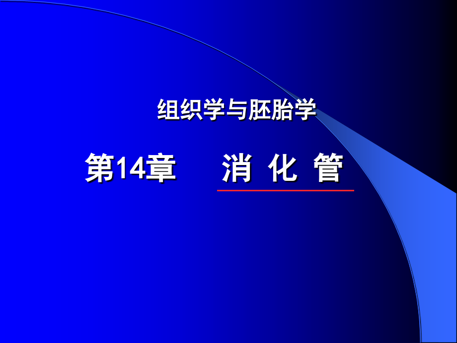 消化管组织学与胚胎学课件_第1页