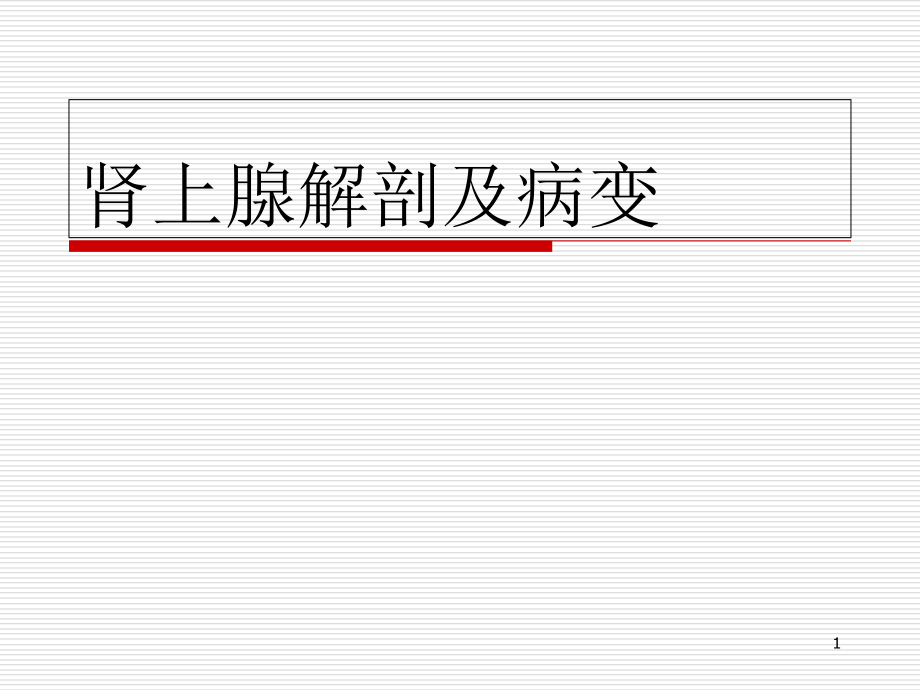 肾上腺解剖及病变演示课件_第1页
