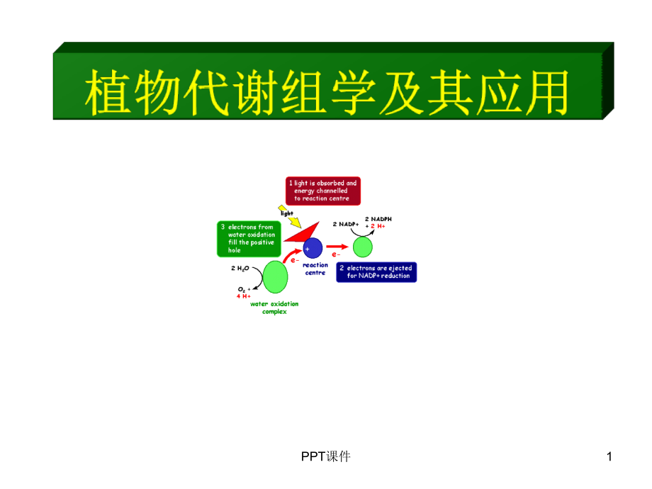 植物代谢组学及其应用--课件_第1页