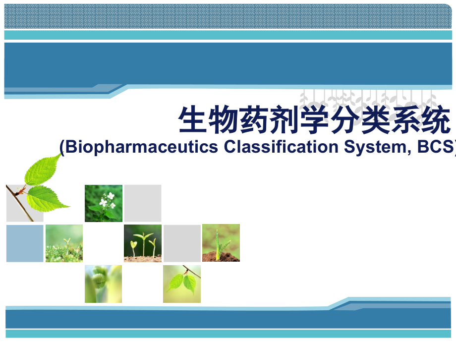 生物药学分类系统课件_第1页