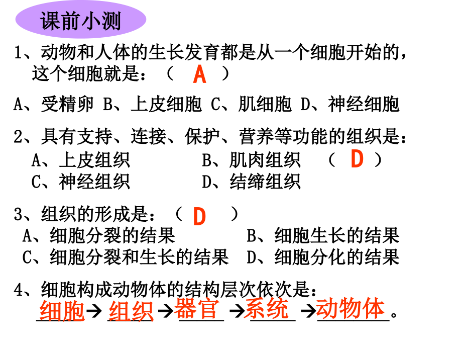 r植物体的结构层次课件_第1页