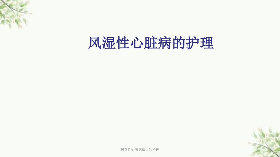 风湿性心脏病病人的护理ppt课件_第1页