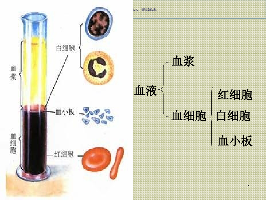 血细胞主题医学知识课件_第1页