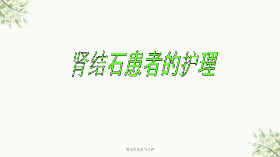 肾结石患者的护理ppt课件_第1页