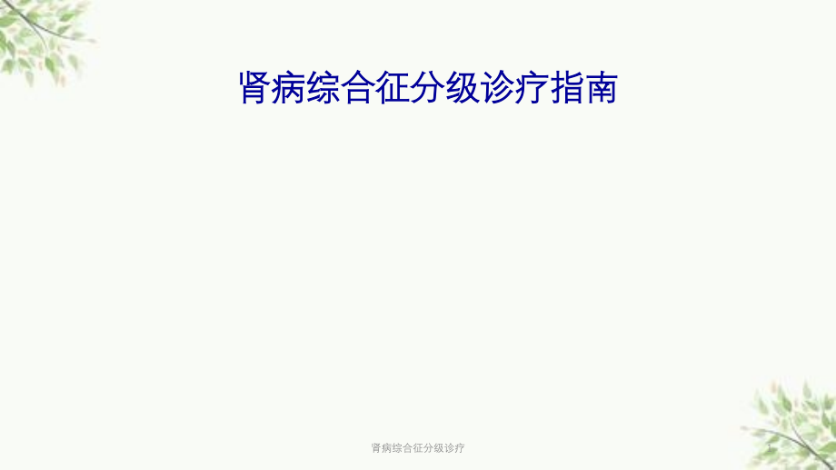 肾病综合征分级诊疗ppt课件_第1页