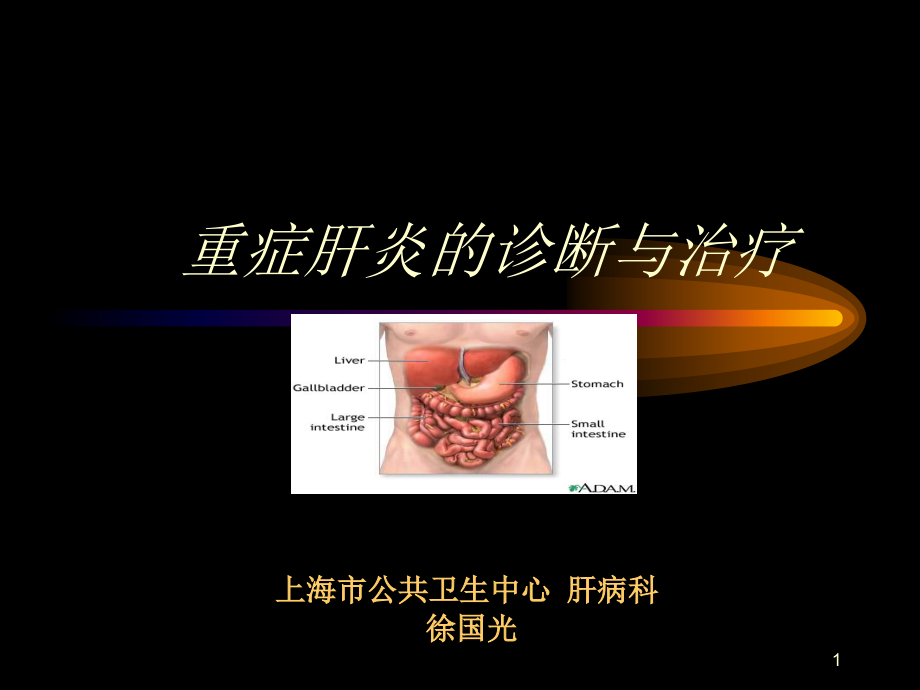 重症肝炎的诊断与治疗课件_第1页