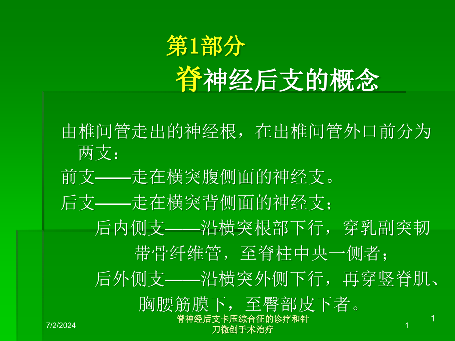 脊神经后支卡压综合征的诊疗和针刀微创手术治疗培训ppt课件_第1页