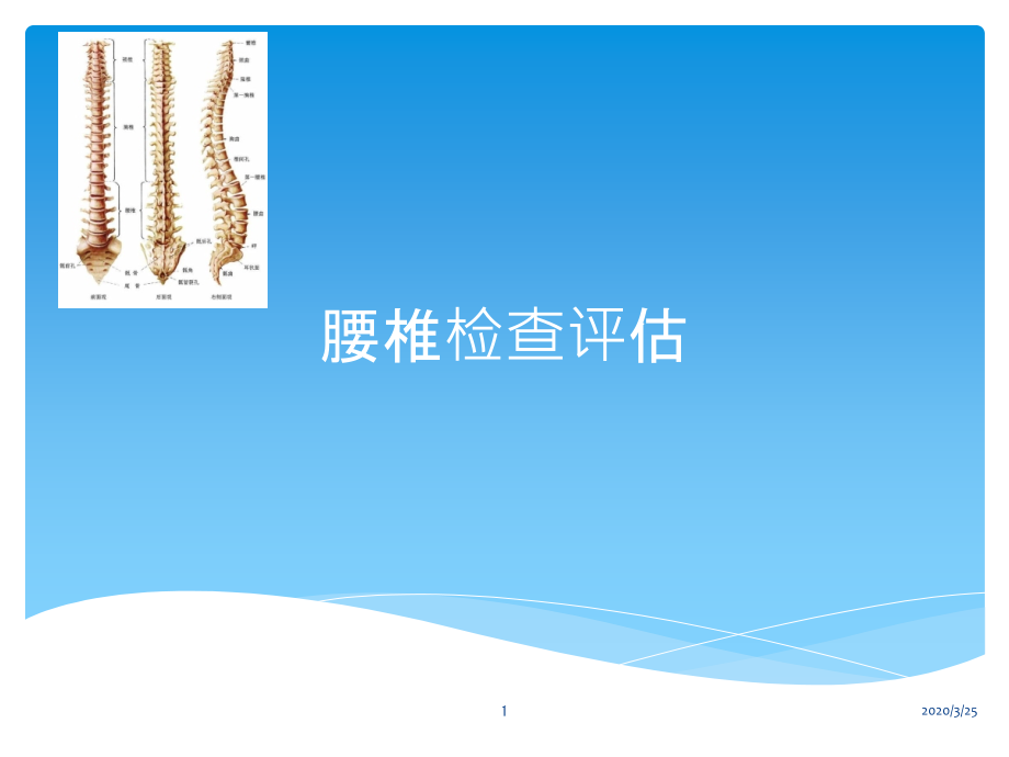 腰椎检查评估课件_第1页