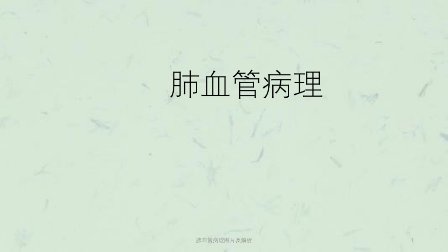 肺血管病理图片及解析ppt课件_第1页