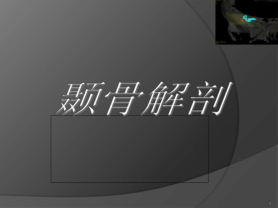 颞骨大体解剖及CT解剖演示课件_第1页