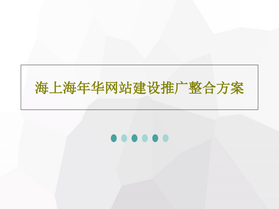 海上海年华网站建设推广整合方案课件_第1页