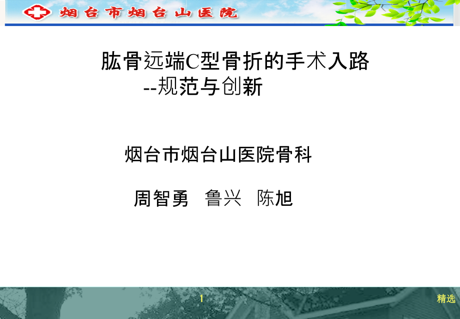 肱骨远端C型骨折的手术入路课件_第1页