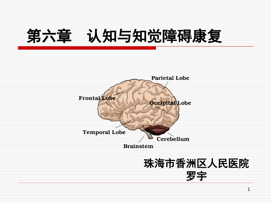 认知知觉障碍的康复评价与训练剖析课件_第1页