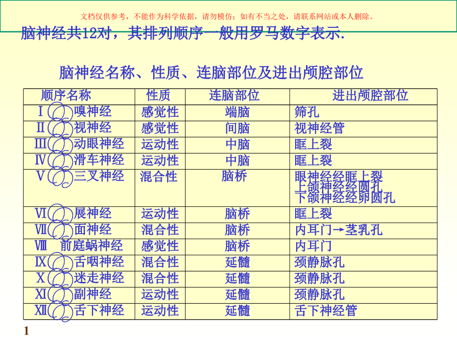 脑神经周围神经系统培训ppt课件_第1页