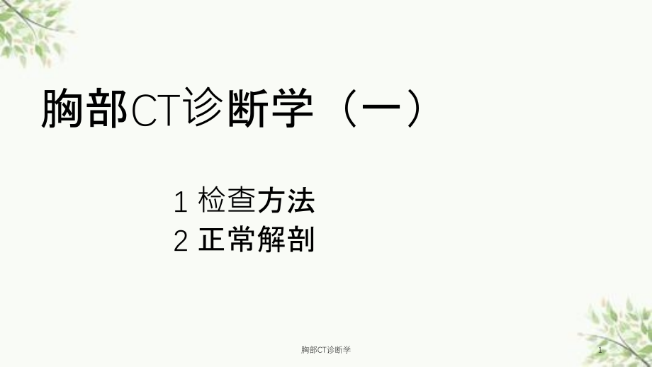 胸部CT诊断学ppt课件_第1页