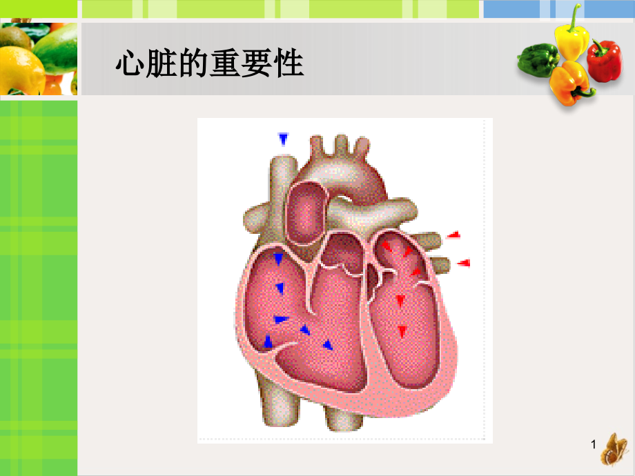 高血压防治及合理用药教材课件_第1页