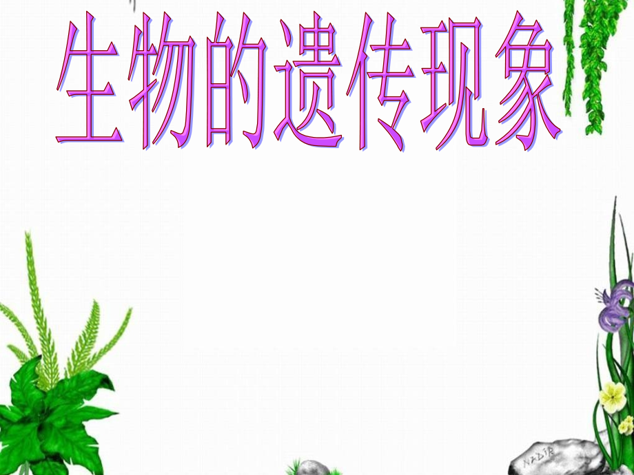 生物的遗传现象课件_第1页