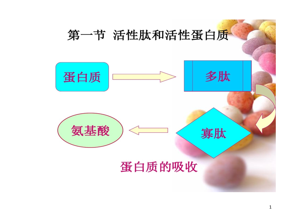 活性肽活性蛋白质与功能性油脂课件_第1页