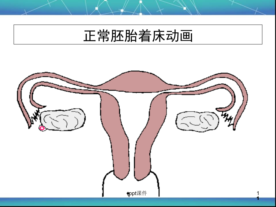 流产的相关知识课件_第1页