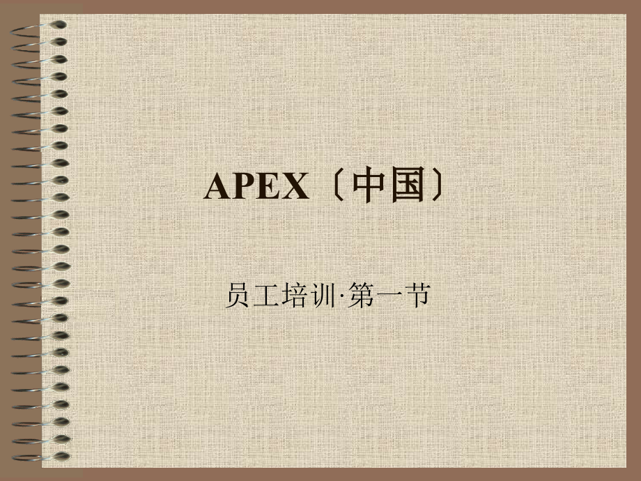 APEX中国房地产顾问服务公司员工培训_第1页