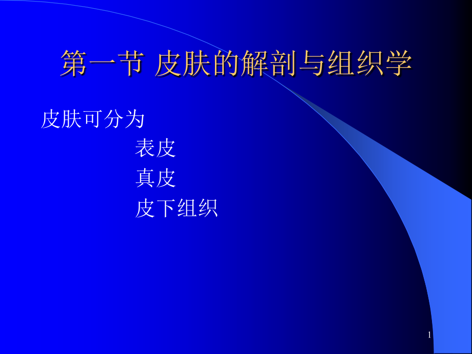 皮肤可分为表皮真皮皮下组织课件_第1页