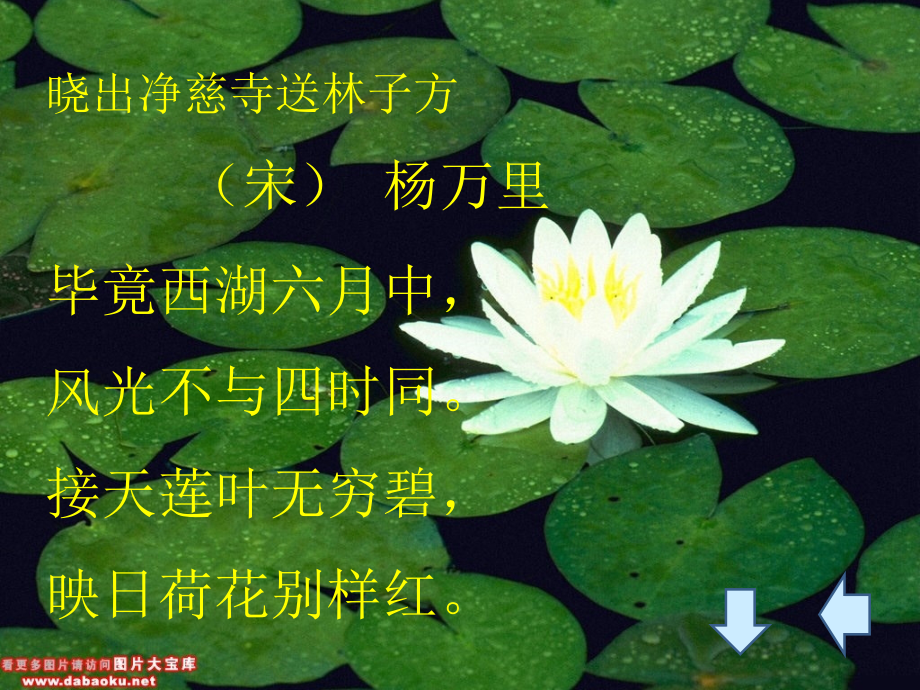 生字注音甚蕃fn课件_第1页