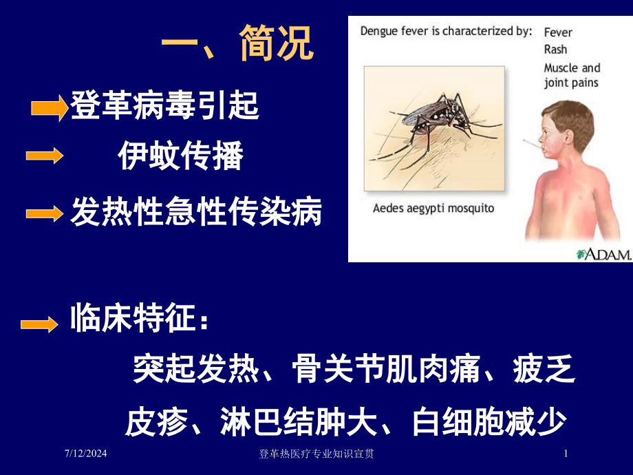 登革热医疗专业知识宣贯培训课件_第1页