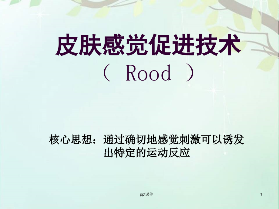 皮肤感觉促进技术(Rood)--课件_第1页