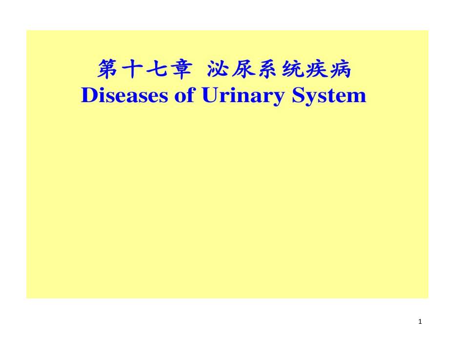 病理学肾小球肾炎和肾盂肾炎课件_第1页