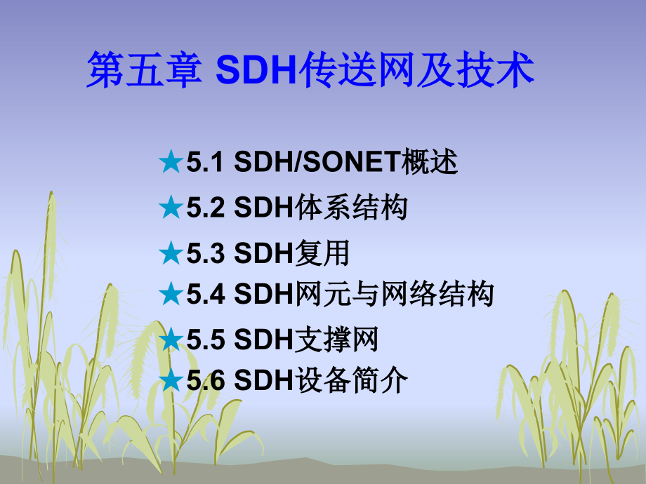 现代通信网络技术第五章课件_第1页