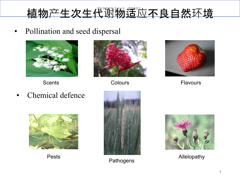 系统生物学代谢组学课件_第1页