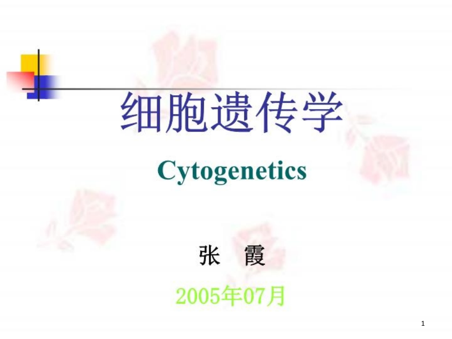 特殊类型的染色体课件_第1页