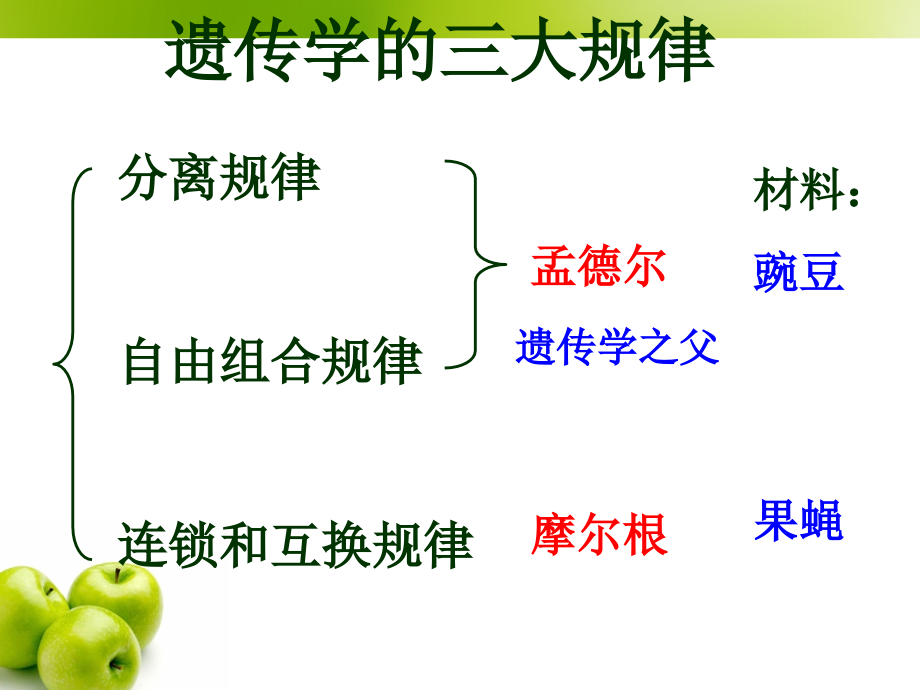 必修二11孟德尔豌豆杂交实验(一)___课件课件_第1页