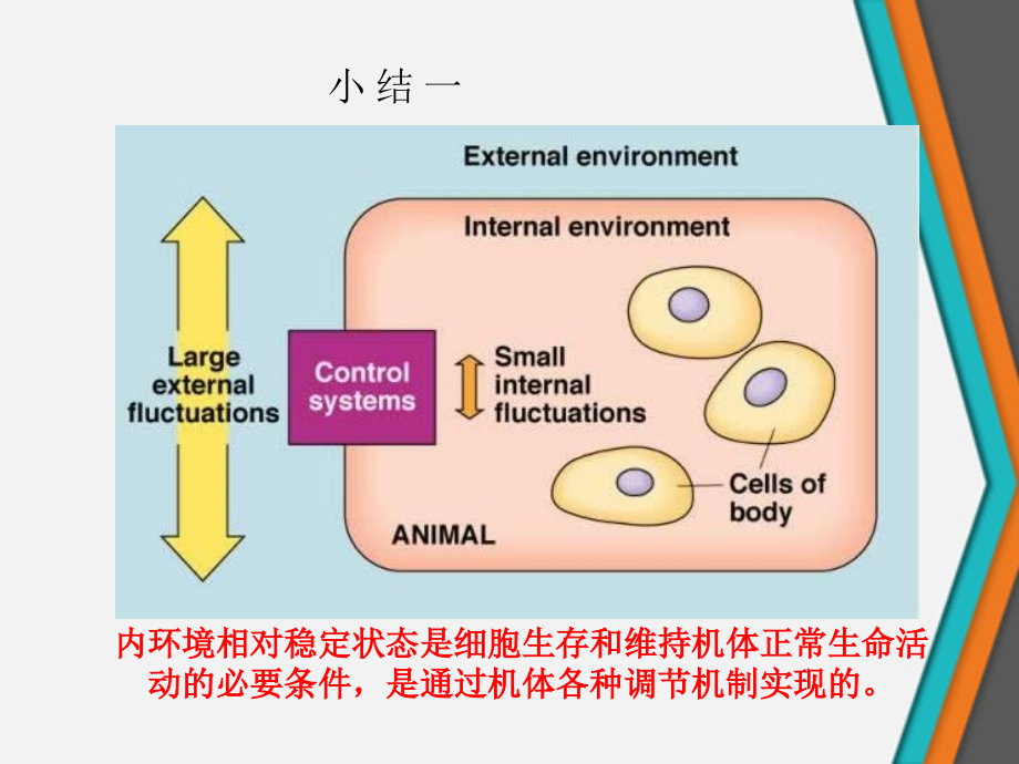 生理学之细胞基本功能课件_第1页