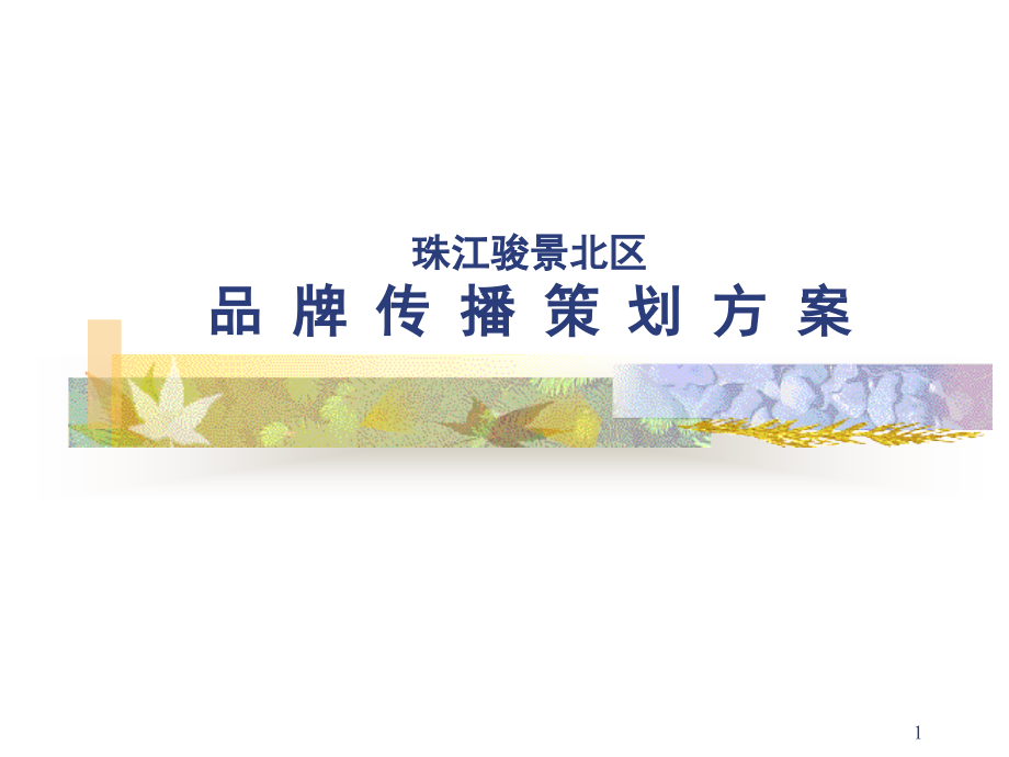 珠江骏景北区品牌传播策划案-老资料-资料课件_第1页