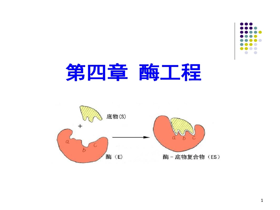 食品生物技术导论酶工程的资料课件_第1页