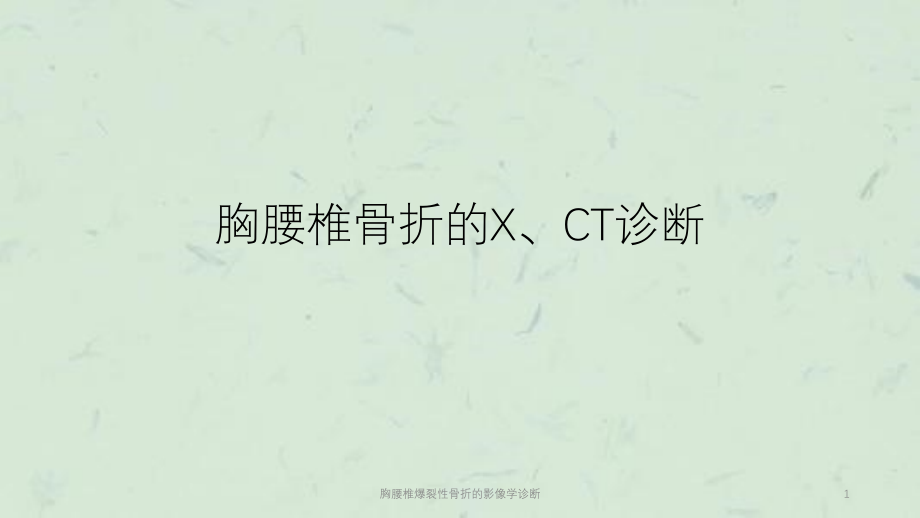 胸腰椎爆裂性骨折的影像学诊断ppt课件_第1页