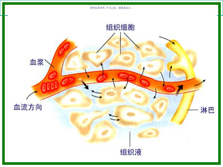 生理卫生讲课课件_第1页